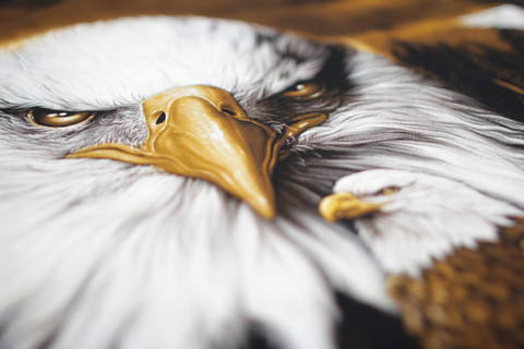 Close up of a bald eagle printed on a ROQ NOW Automatic Digital Machine