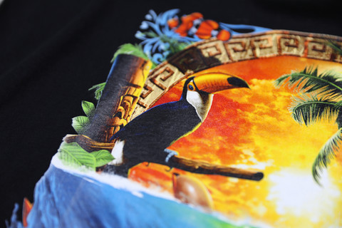 ROQ Digital Print of a tucan and sunset