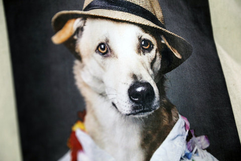 ROQ Digital Print of a cute dog wearing a hat.